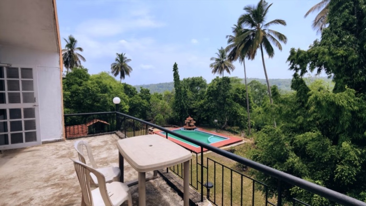 Honeymoon at Big the Bungalow