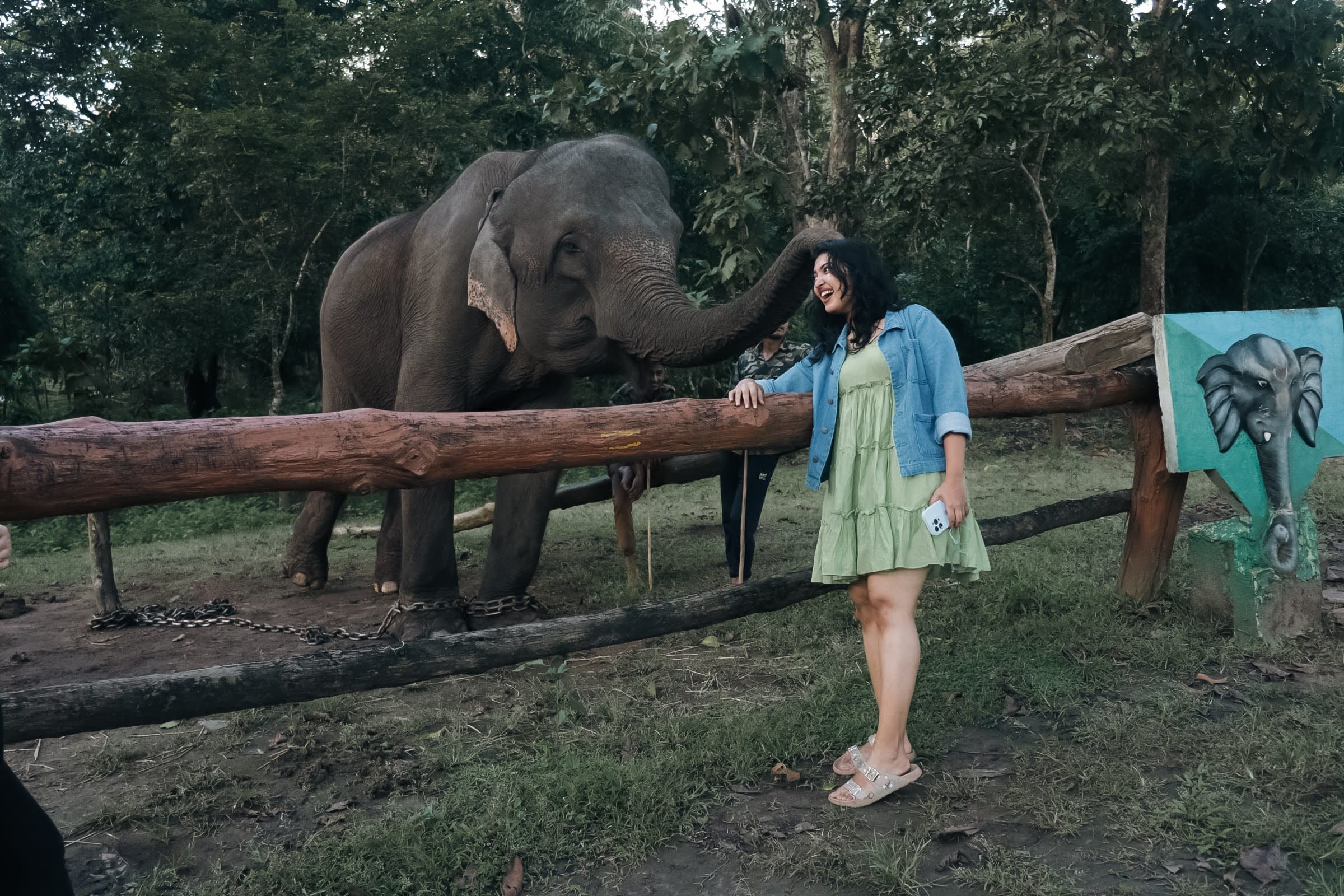 Phansoli Elephant Camp