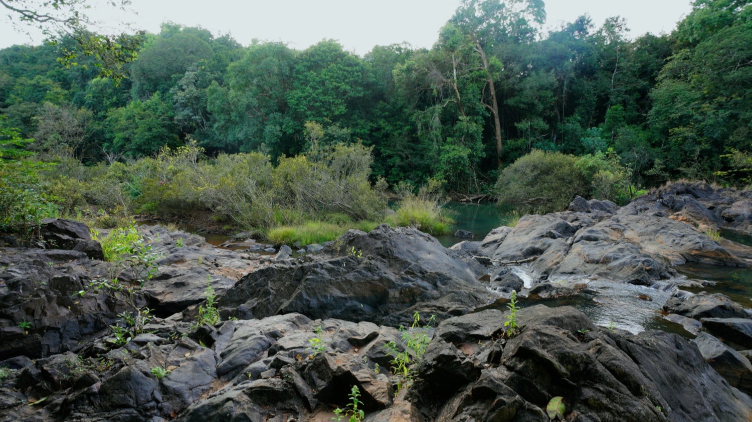 Kumbarwada Village Day Trip