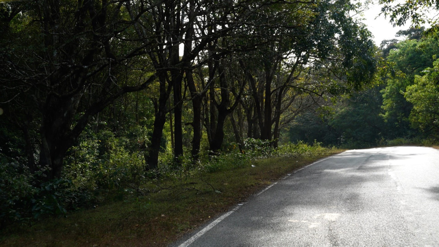 Kumbarwada Village Day Trip