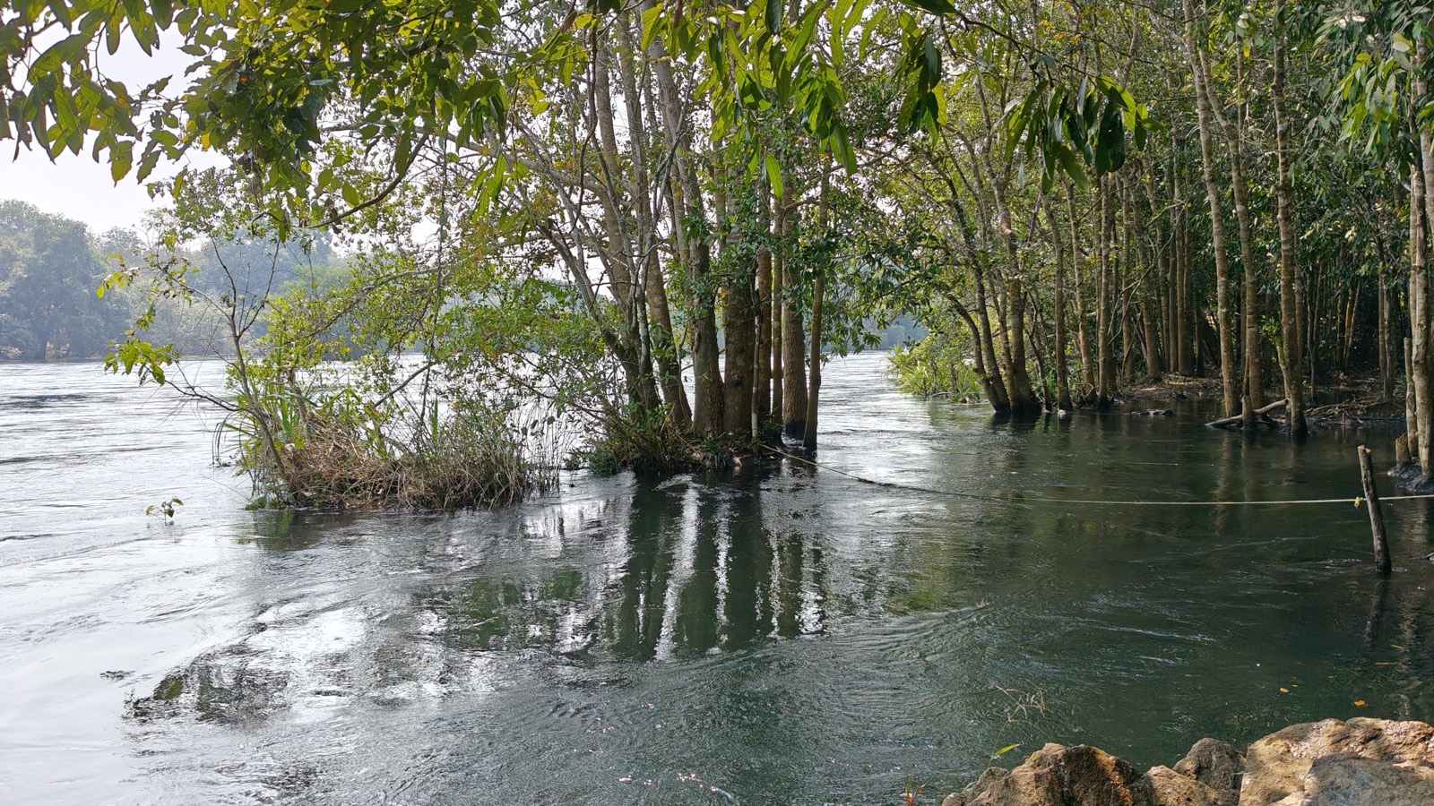 Moulangi Eco Park