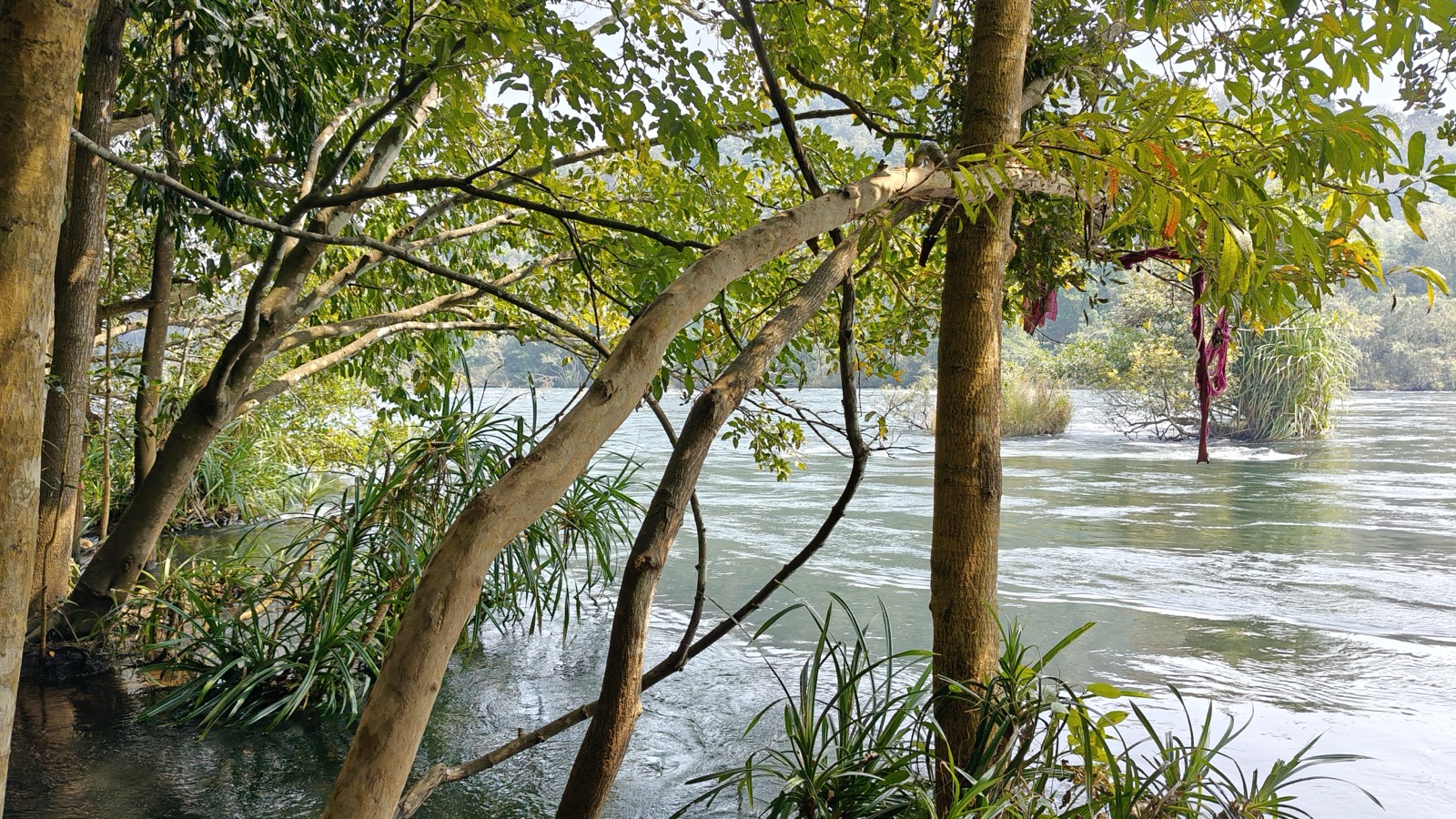 Moulangi Eco Park