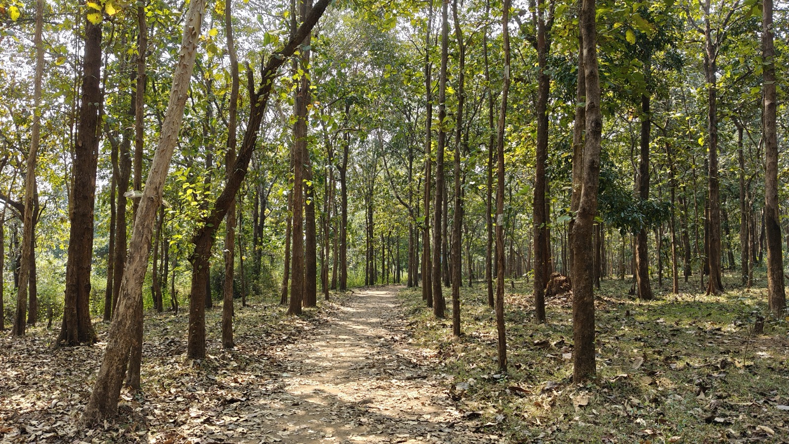 Moulangi Eco Park