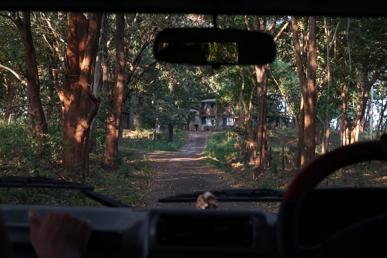 Night Drive