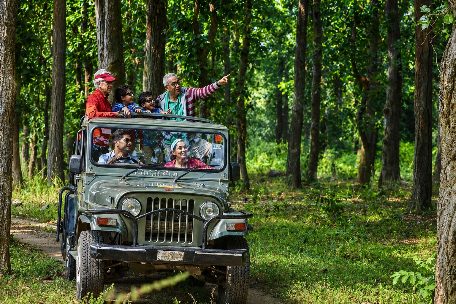 Jungle Safari