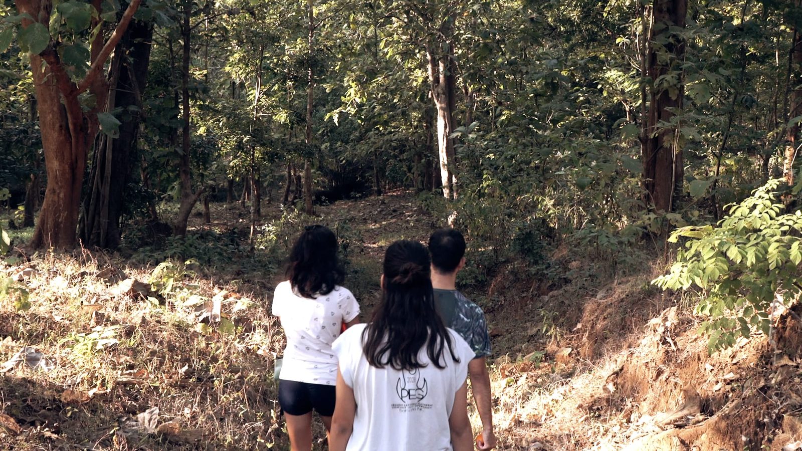Forest Walk to Sangam