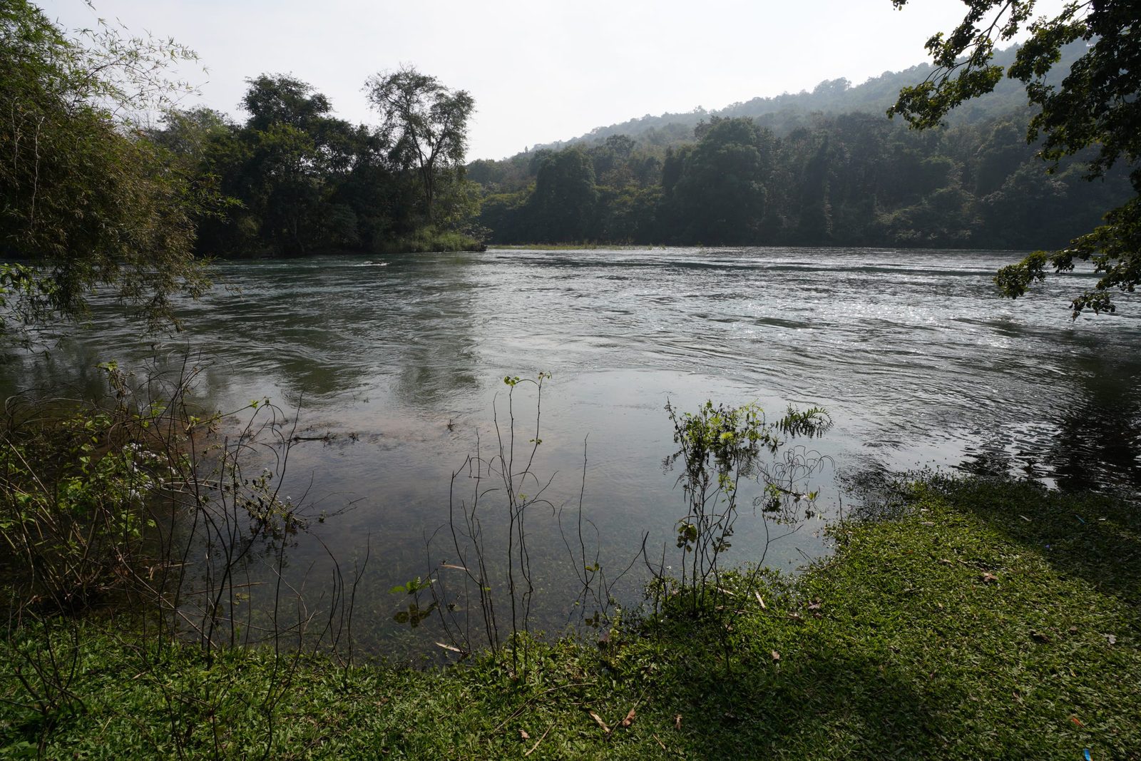 Forest Walk to Sangam