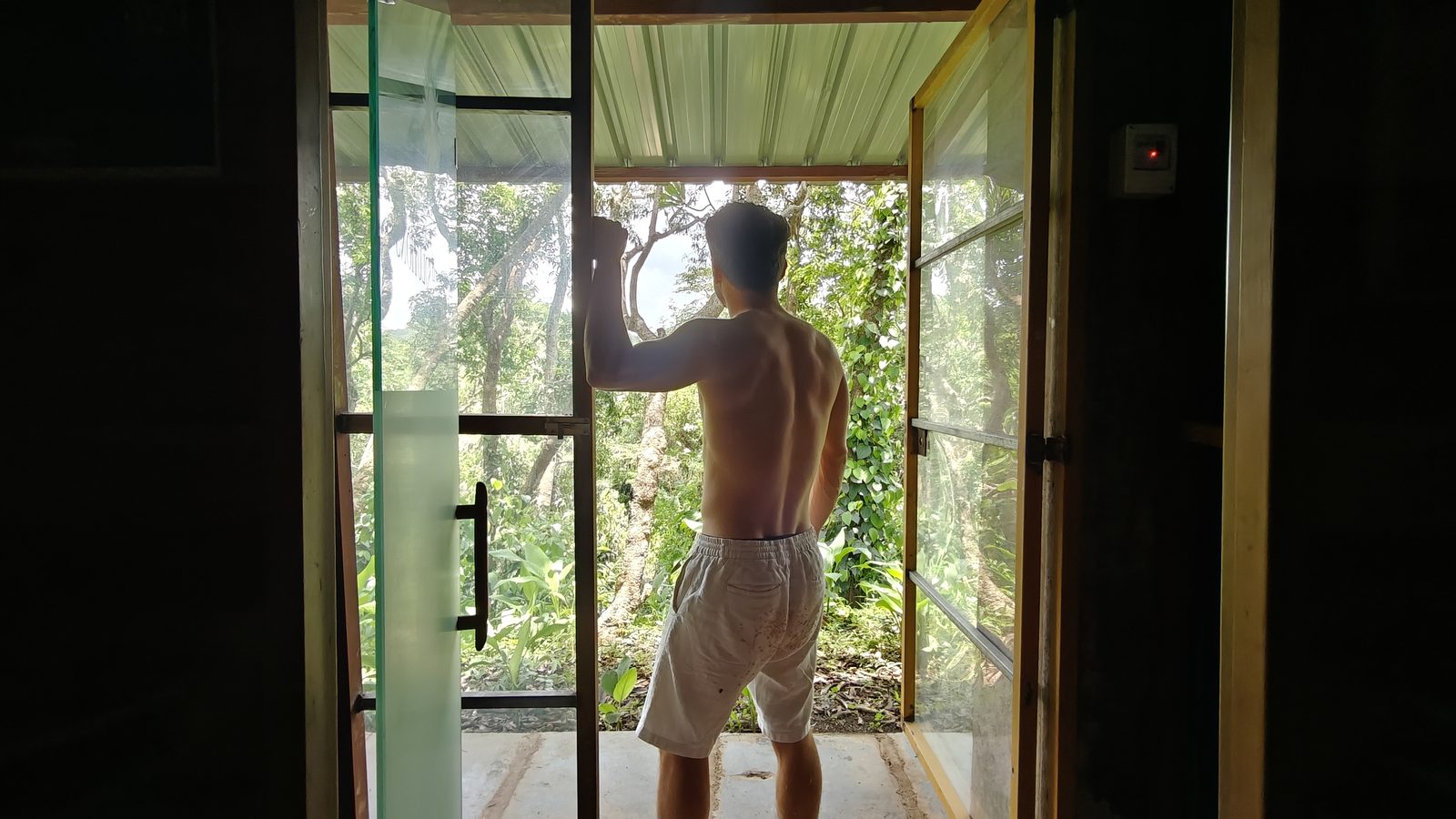 Infrared Sauna