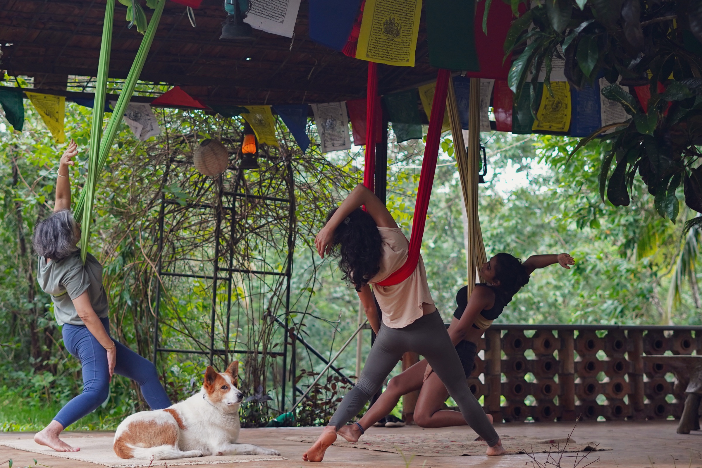 A Jungli coliving
