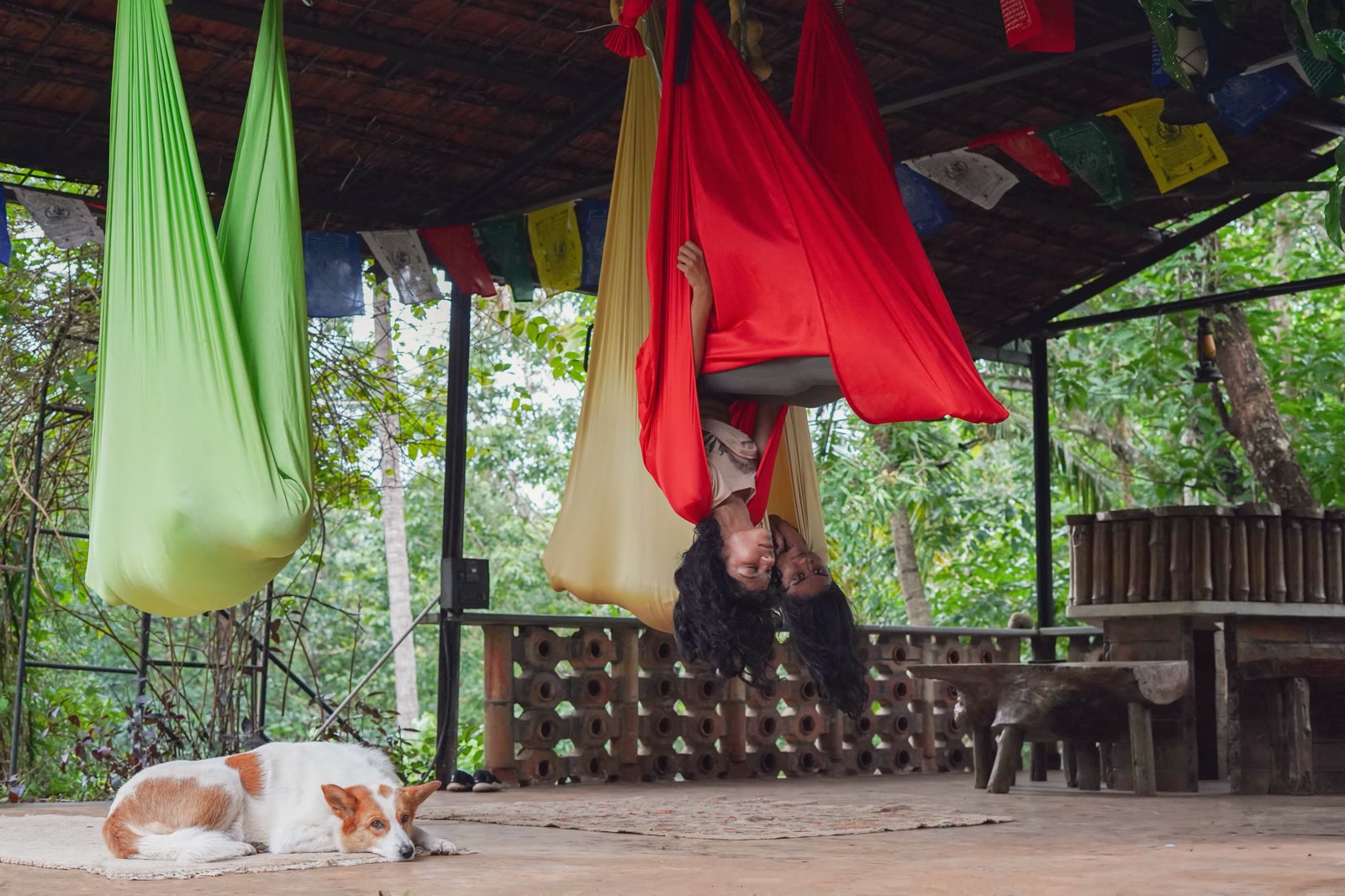 Aerial yoga session under prayer flags at Soch with dog sleeping nearby