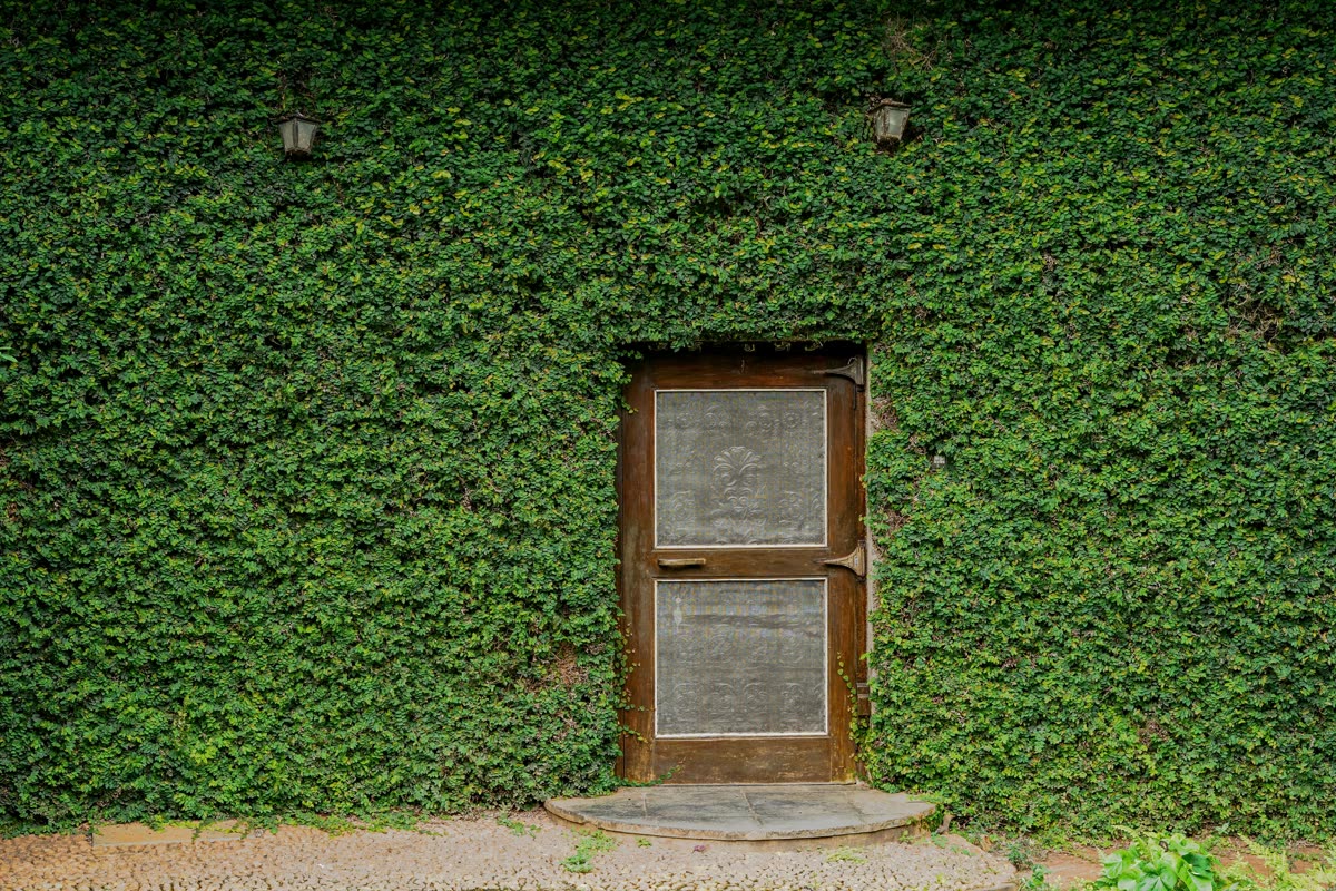 Soch / Soch Garden Wall 2.jpg