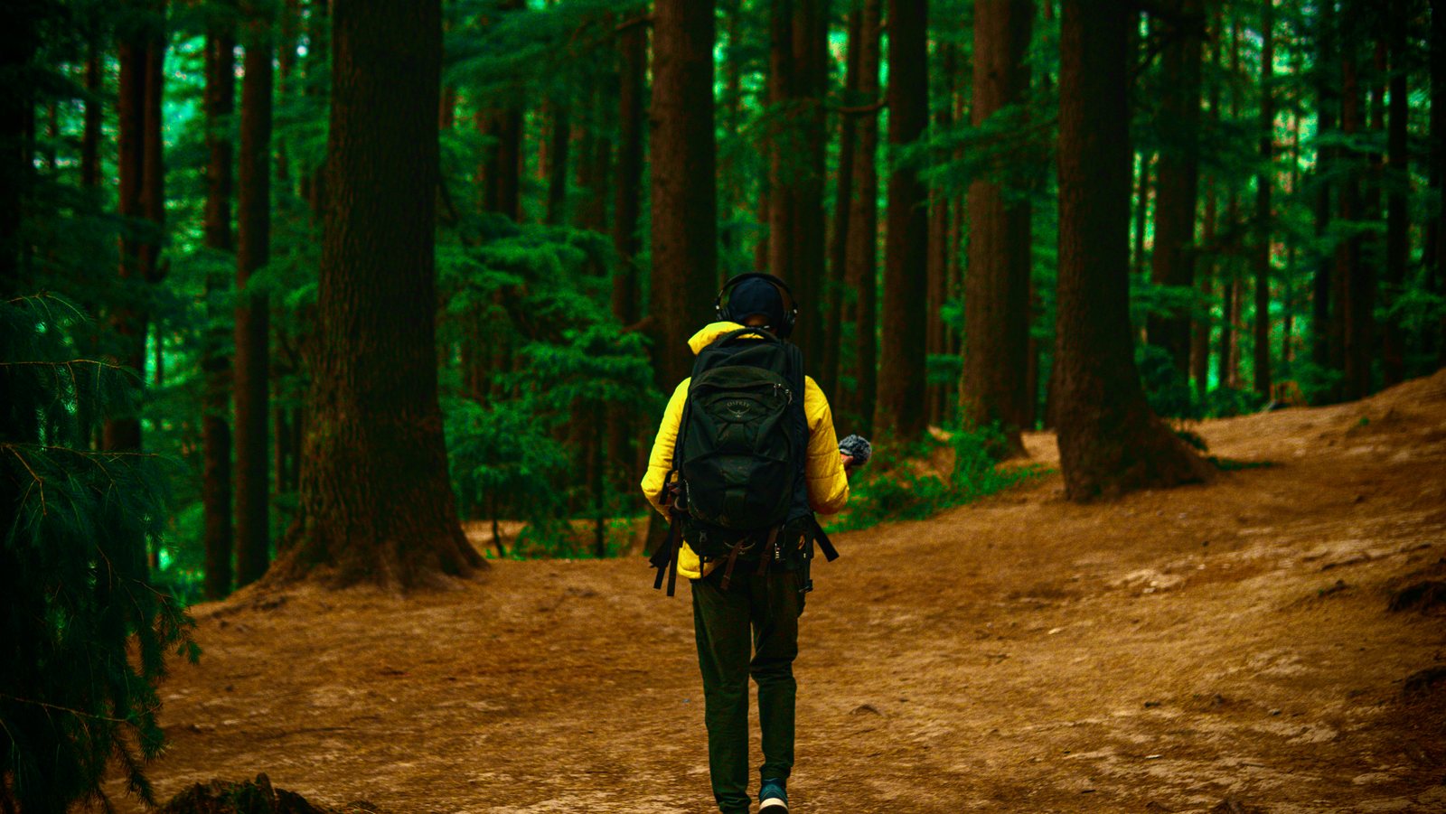 Backpacking through the forests of Manali, India
