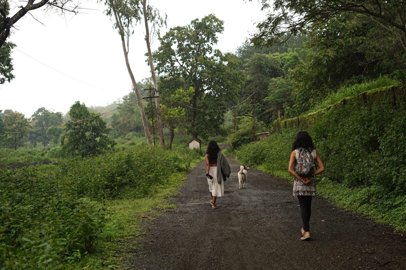 Walking around the campus