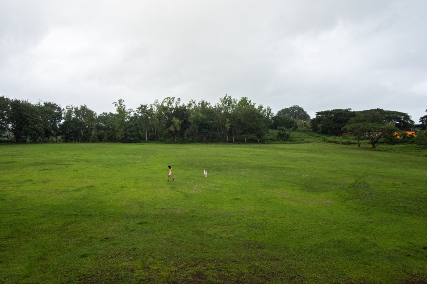 Cricket ground at Jungli