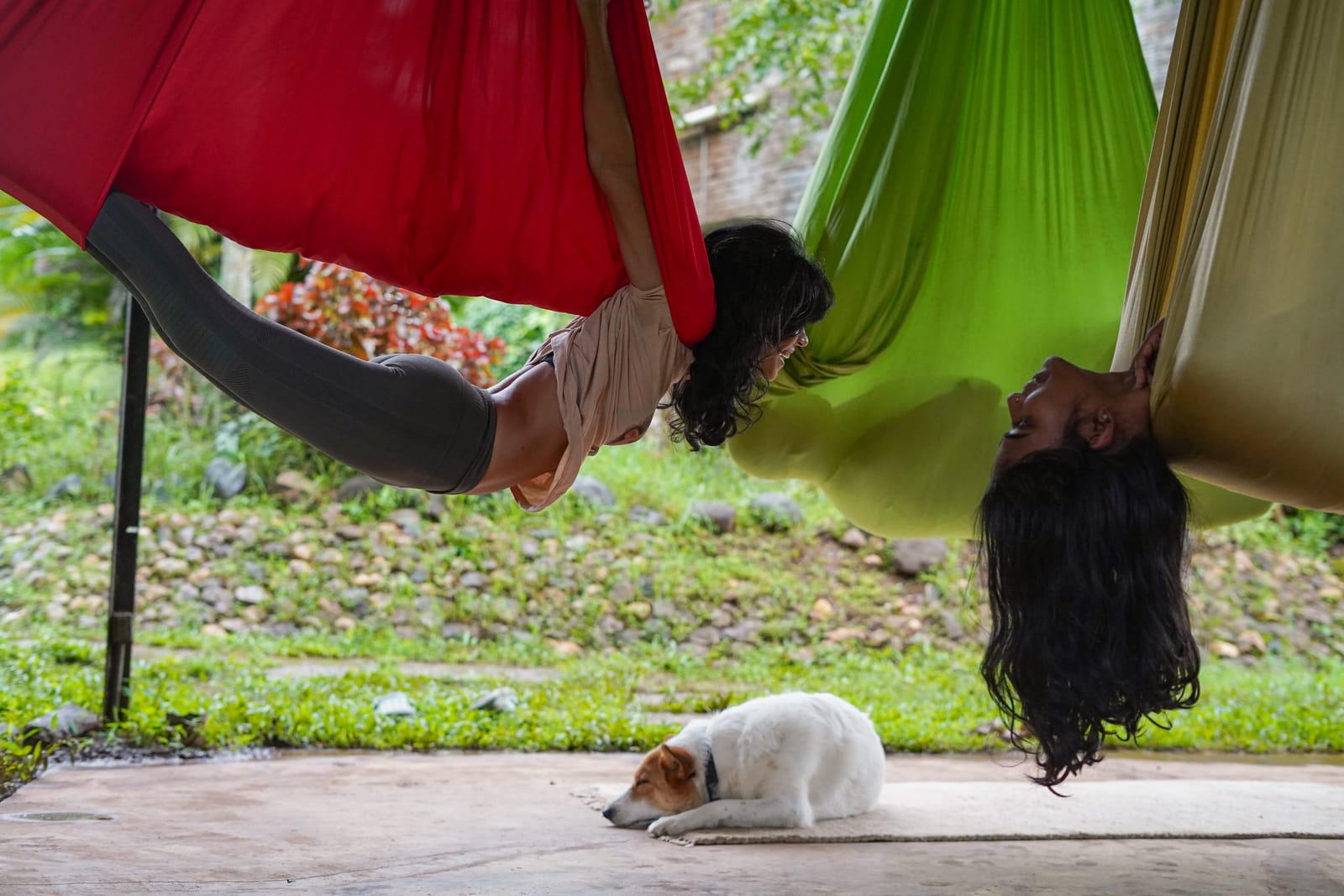 Women in aerial yoga hammocks at Jungli, dog below